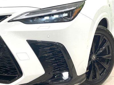 2025 Lexus NX 缩略图 13