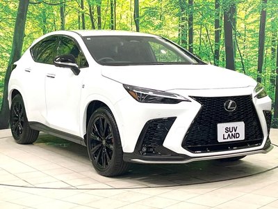 2025 Lexus NX 缩略图 17