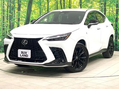 2025 Lexus NX 缩略图 29