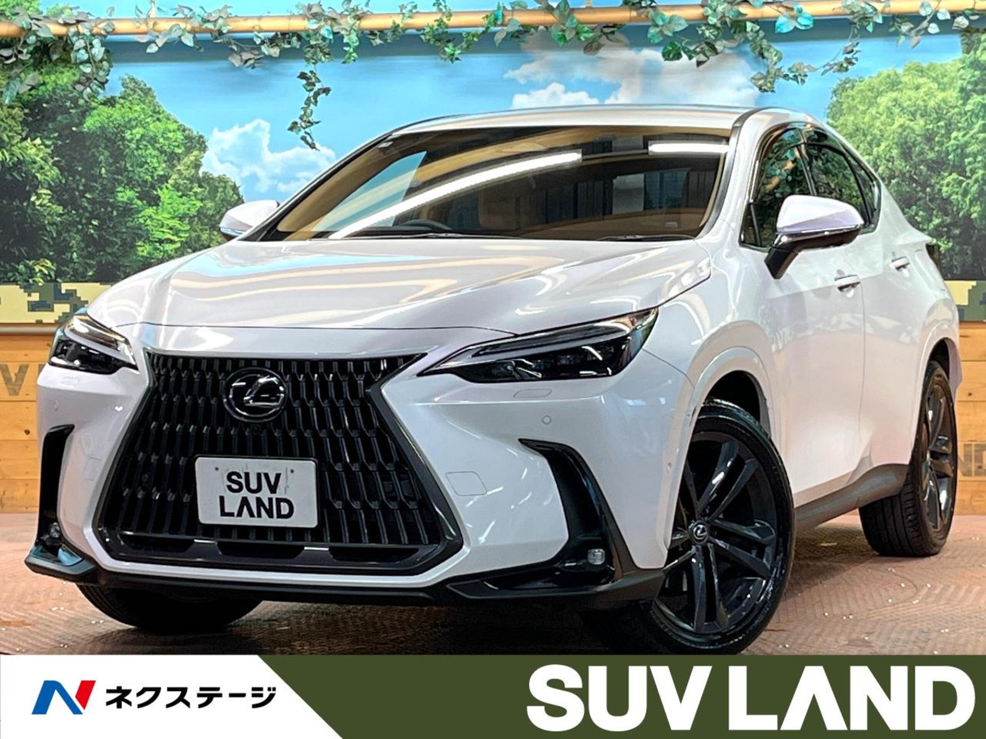 LEXUS NX - View 1