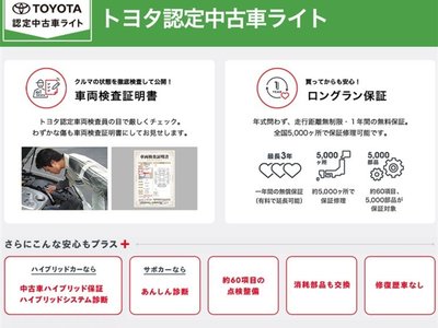 TOYOTA LAND CRUISER 250 - 2