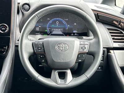 2025 TOYOTA ALPHARD thumbnail 19