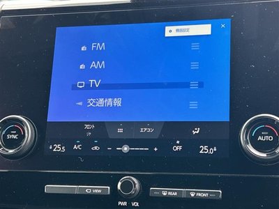 2025 TOYOTA ALPHARD photo 5