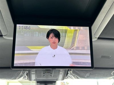2025 TOYOTA ALPHARD photo 10