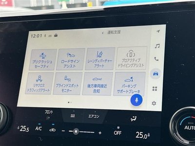 2025 TOYOTA ALPHARD photo 6