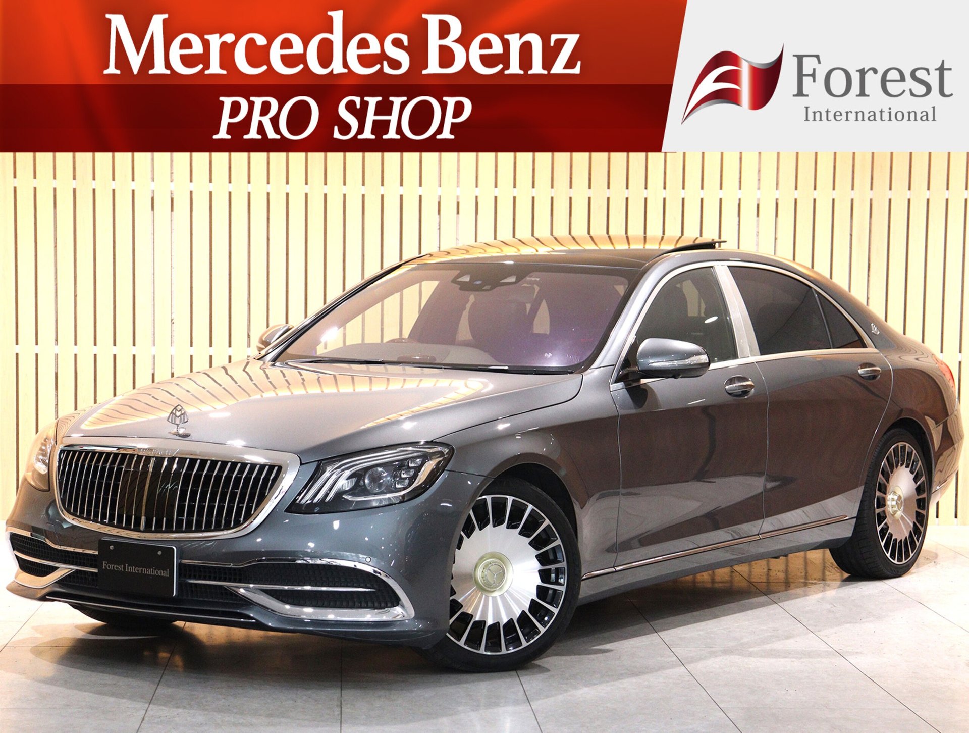 MERCEDES-BENZ S-CLASS - View 1