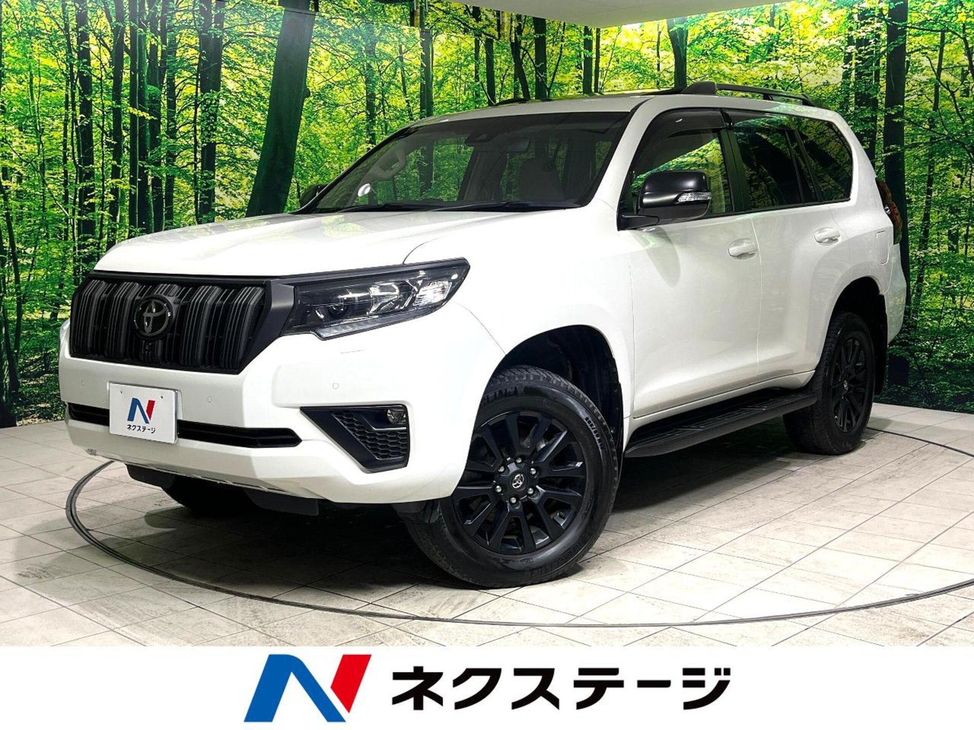 TOYOTA LAND CRUISER PRADO - View 1