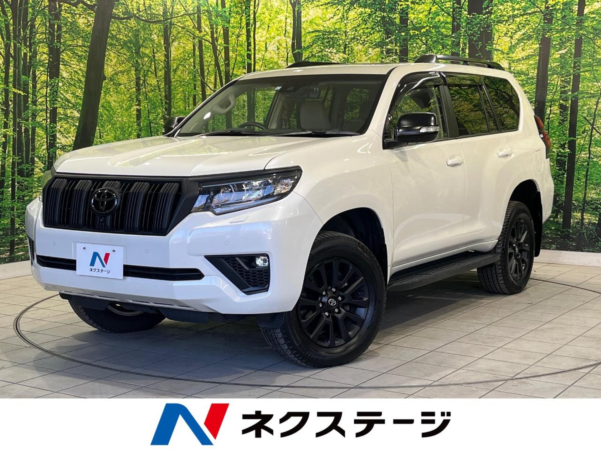 TOYOTA LAND CRUISER PRADO - View 1