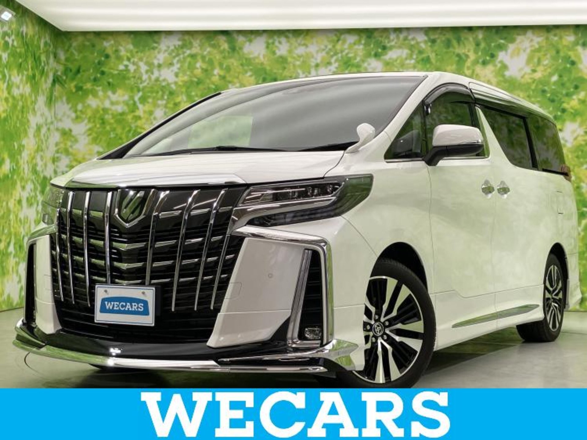 TOYOTA ALPHARD - View 1
