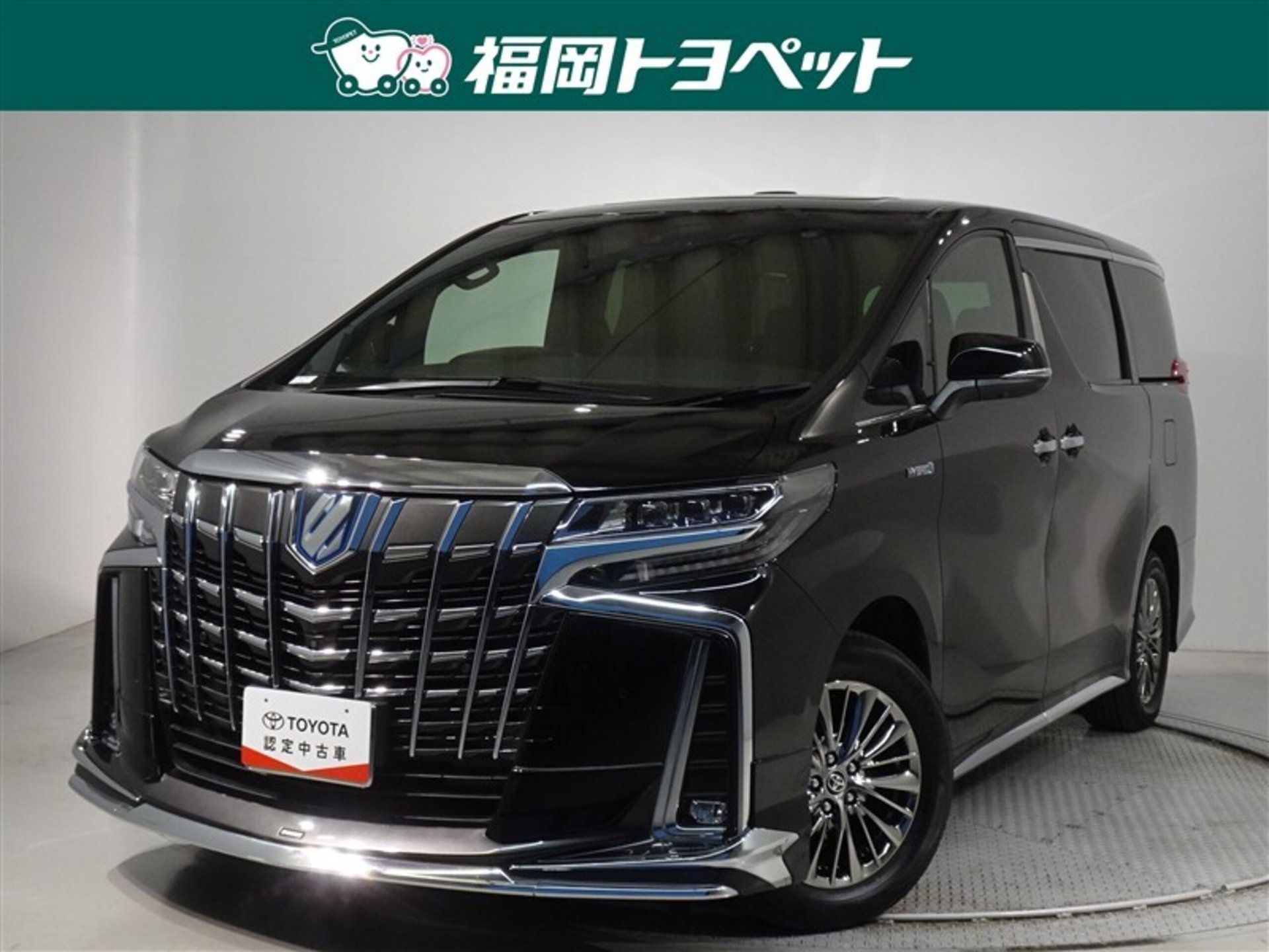 TOYOTA ALPHARD - View 1