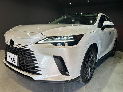 LEXUS RX - 3