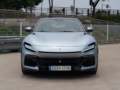 FERRARI PUROSANGUE - 1