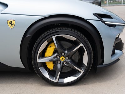 FERRARI PUROSANGUE - 6