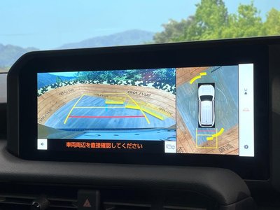 TOYOTA LAND CRUISER 250 - 6