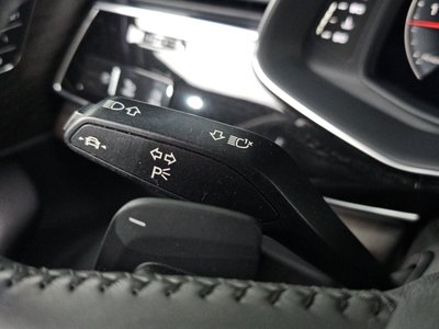 2020 AUDI Q7 缩略图 30