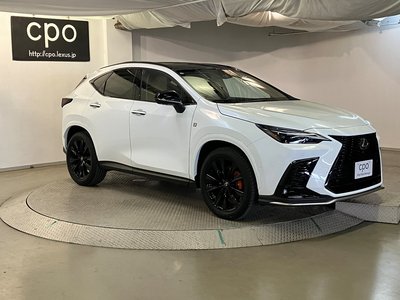 LEXUS NX - 6