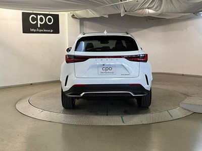 LEXUS NX - 10