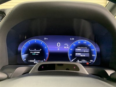 2023 Toyota ALPHARD 缩略图 30