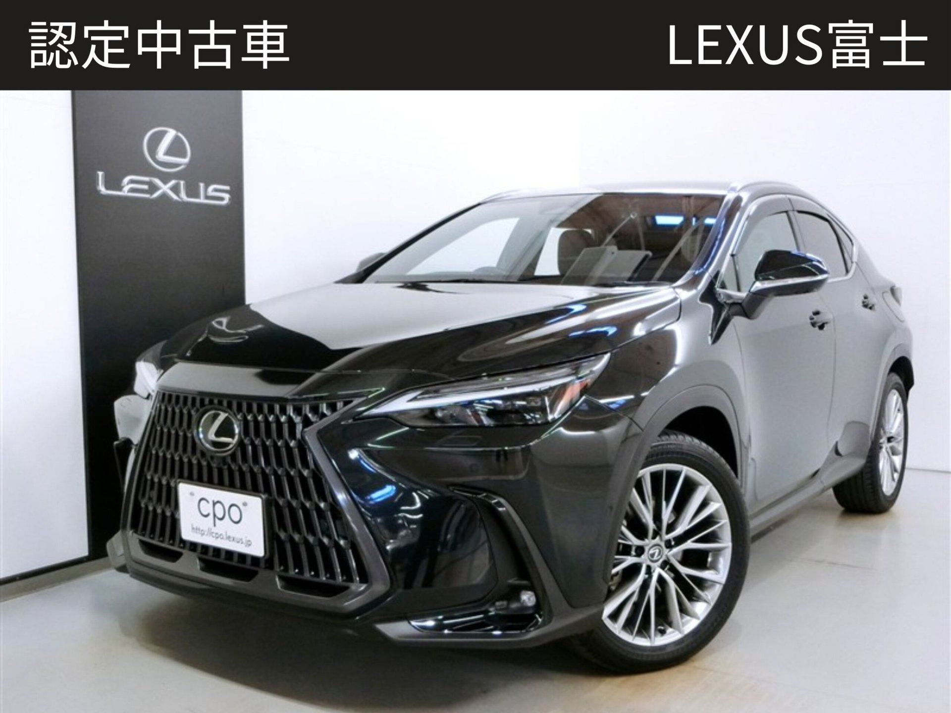 LEXUS NX - View 1