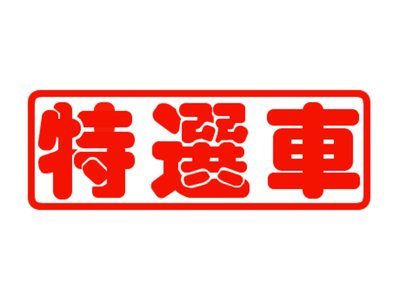 BMW 3 SERIES TOURING - 4