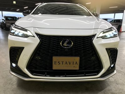 صورة مصغرة 53 لـ 2023 Lexus NX