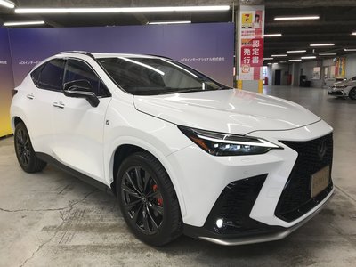 LEXUS NX - 10