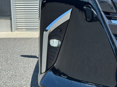 2026 Toyota ALPHARD 缩略图 20