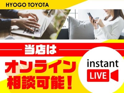 2024 Toyota ALPHARD 缩略图 40