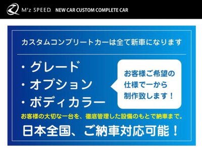 TOYOTA LAND CRUISER 300 - 4