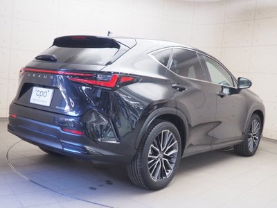 LEXUS NX - 6