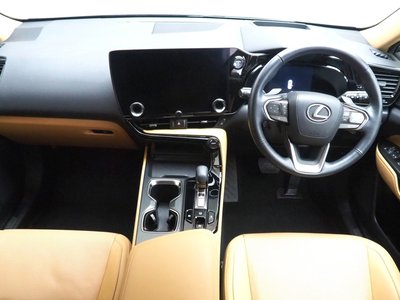LEXUS NX - 10