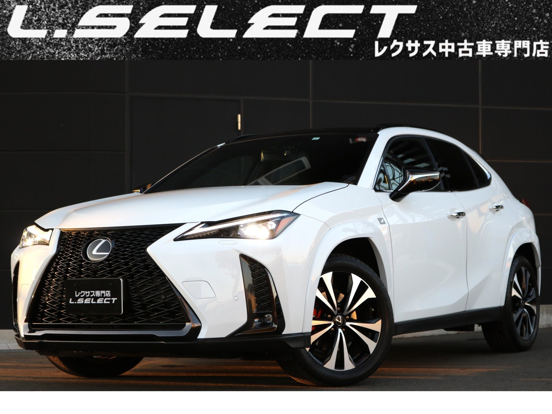 LEXUS UX - View 1