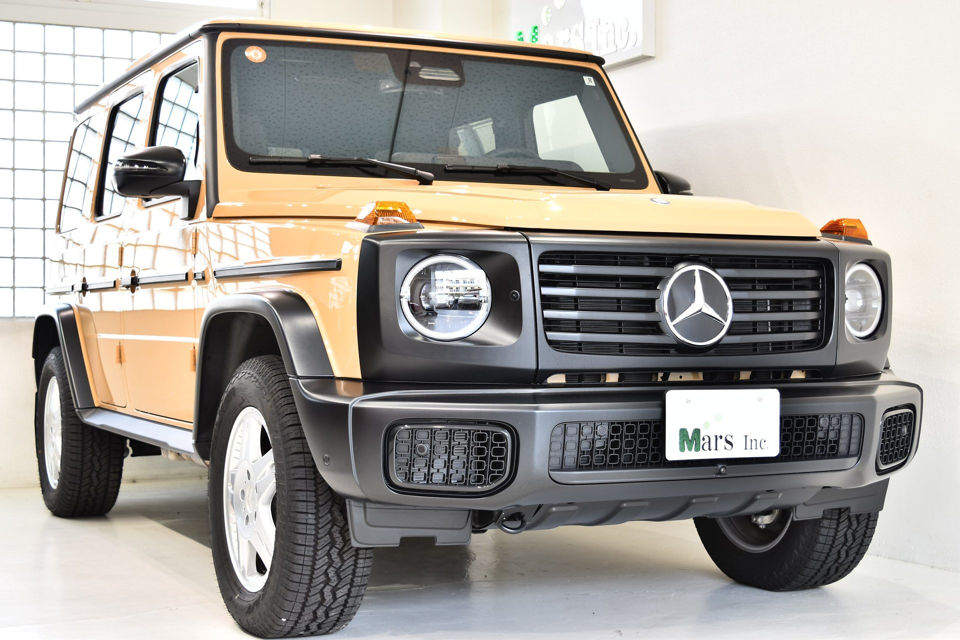 MERCEDES-BENZ G-CLASS - View 1