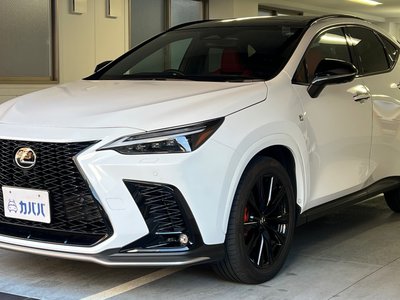 LEXUS NX - 1