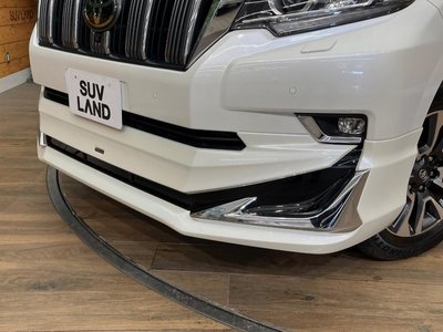 TOYOTA LAND CRUISER PRADO - 3