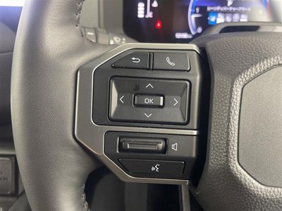 2024 Toyota LAND CRUISER 250 缩略图 14