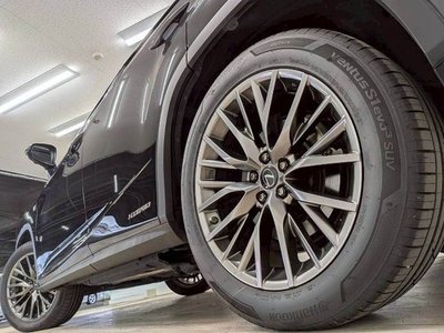 2019 Lexus RX thumbnail 19