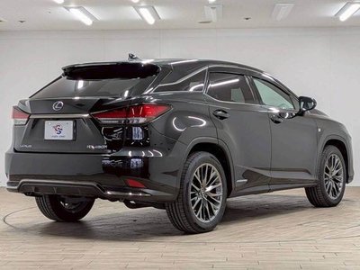 2019 Lexus RX thumbnail 16