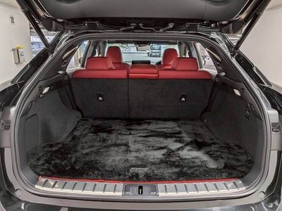 2019 Lexus RX thumbnail 13