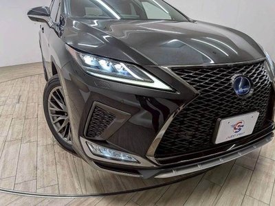 2019 Lexus RX thumbnail 20