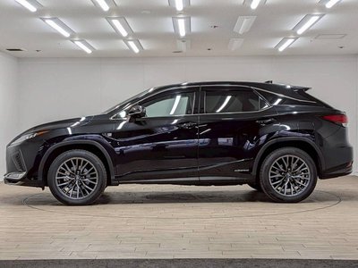 2019 Lexus RX thumbnail 34