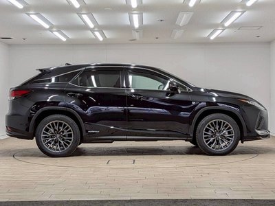 2019 Lexus RX thumbnail 33