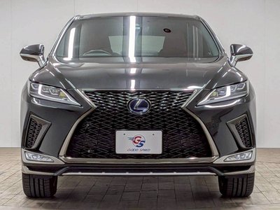 2019 Lexus RX thumbnail 27