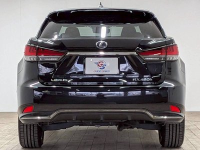 2019 Lexus RX thumbnail 28