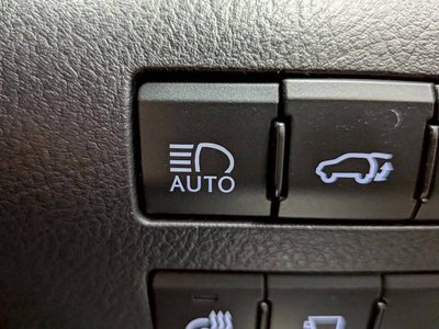 2019 Lexus RX thumbnail 45