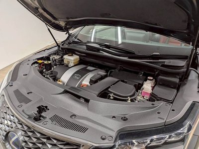 2019 Lexus RX thumbnail 63