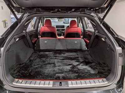 2019 Lexus RX thumbnail 61