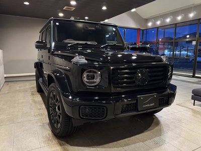 MERCEDES-BENZ G-CLASS - 1