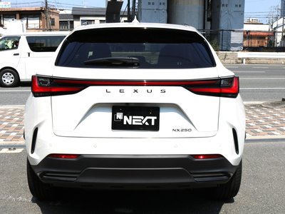 2023 Lexus NX — фото 10