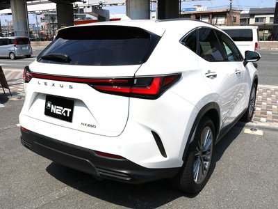 2023 Lexus NX — фото 8